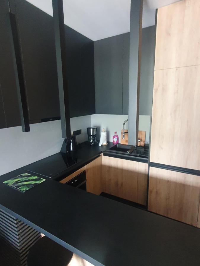 Apartament Szyndzielnia Бельсько-Бяла Екстер'єр фото